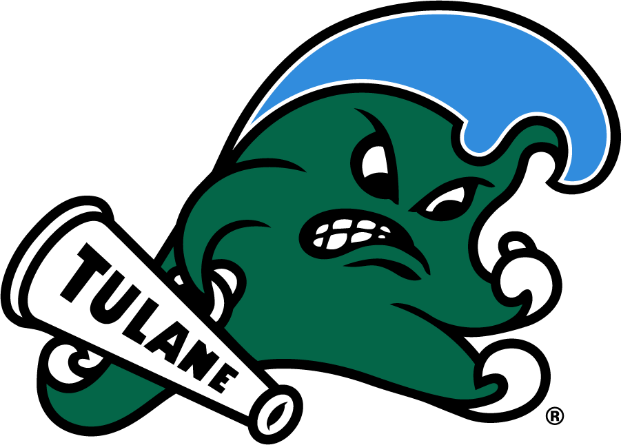 Tulane Green Wave 2017-Pres Primary Logo diy DTF decal sticker